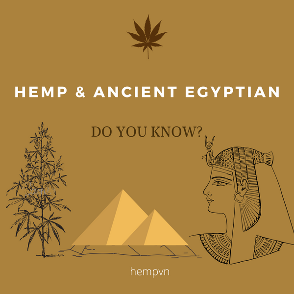 Gai dầu/Hemp trong văn hoá Ai Cập cổ đại